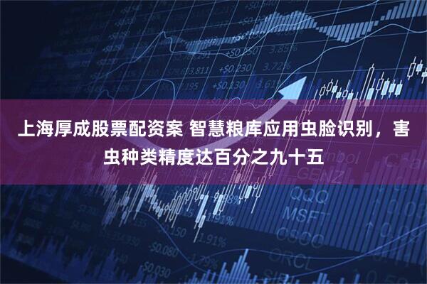 上海厚成股票配资案 智慧粮库应用虫脸识别，害虫种类精度达百分之九十五