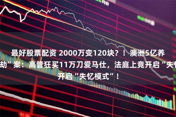 最好股票配资 2000万变120块？！澳洲5亿养老金“洗劫”案：高管狂买11万刀爱马仕，法庭上竟开启“失忆模式”！